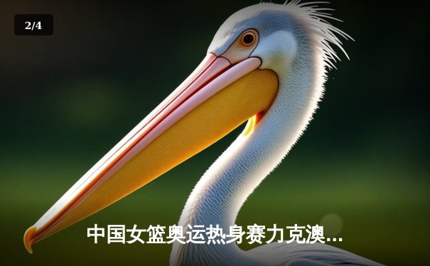 中国女篮奥运热身赛力克澳大利亚，李月汝狂砍28分引领内线狂潮 - 2